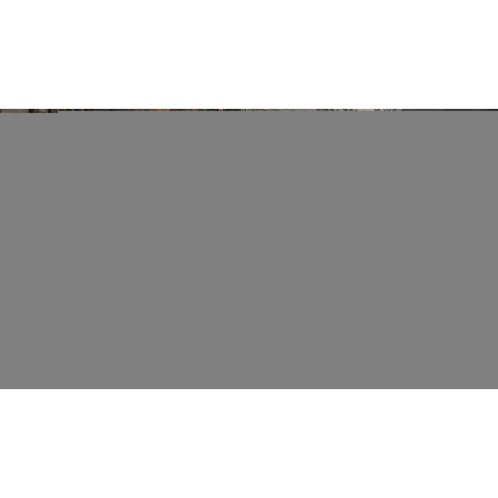 apps.13351.13620741330545118.8413101d-34f3-4e62-9982-ddac3f48998d