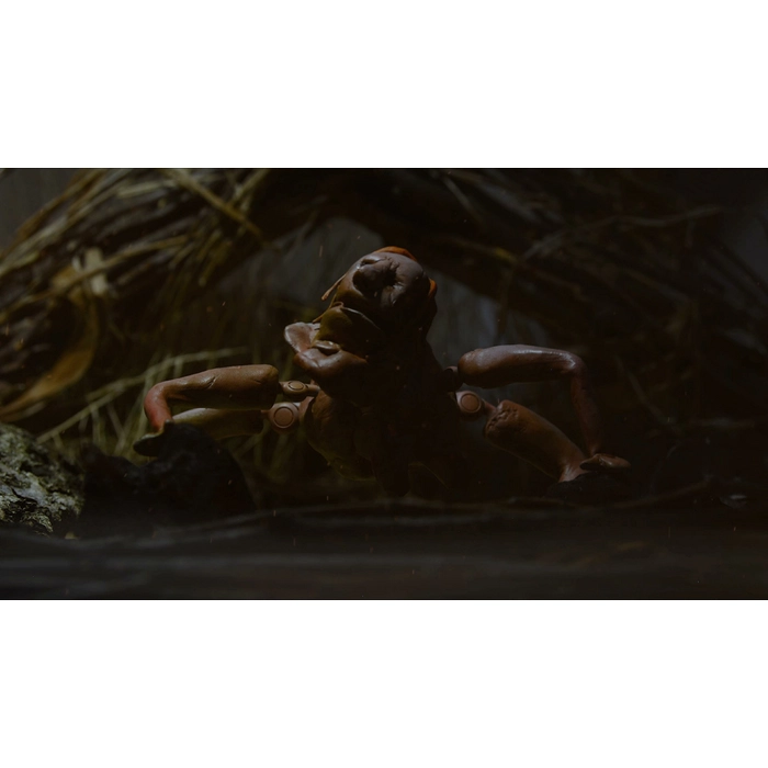 apps.13756.13930968058719553.02852633-58e4-462b-bd00-756d2f77af77