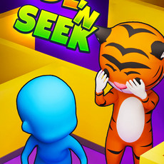 Hide 'N Seek! PS4 Standard Edition