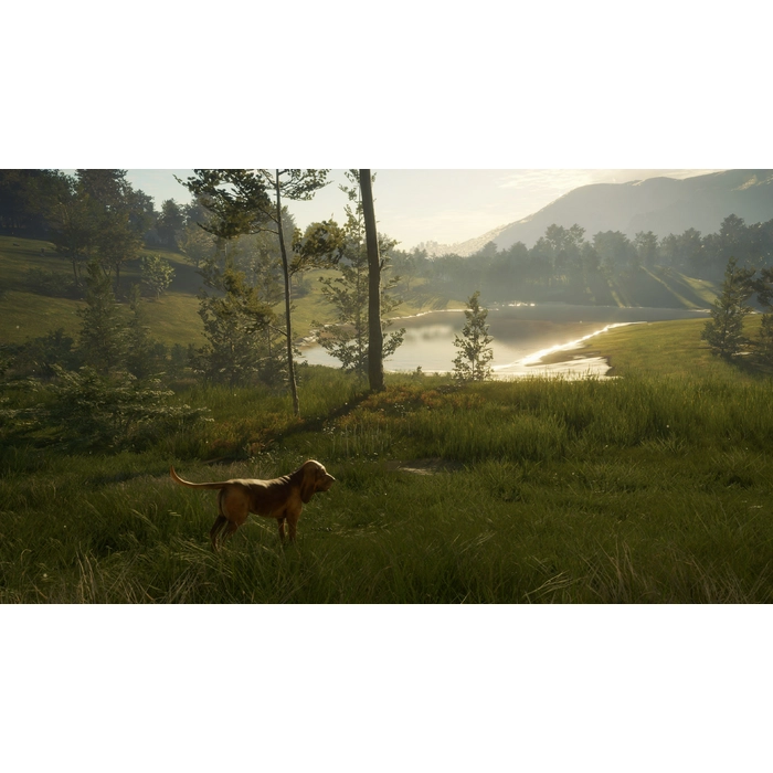 apps.52191.13723722186877408.8949080b-a001-4690-8b7a-6569038d9462