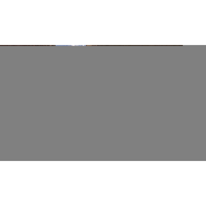 apps.38509.13968743336759251.2551325c-a4b4-4ef0-8518-1fed5d69091f