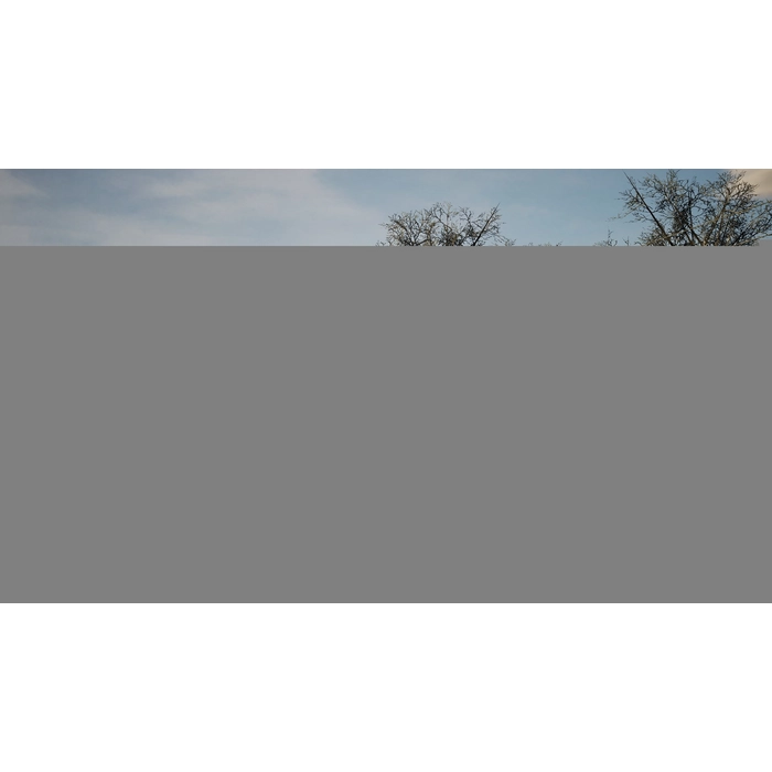 apps.54798.13549196586214701.b1c91c84-e788-4276-8424-a6db3a5dbe05