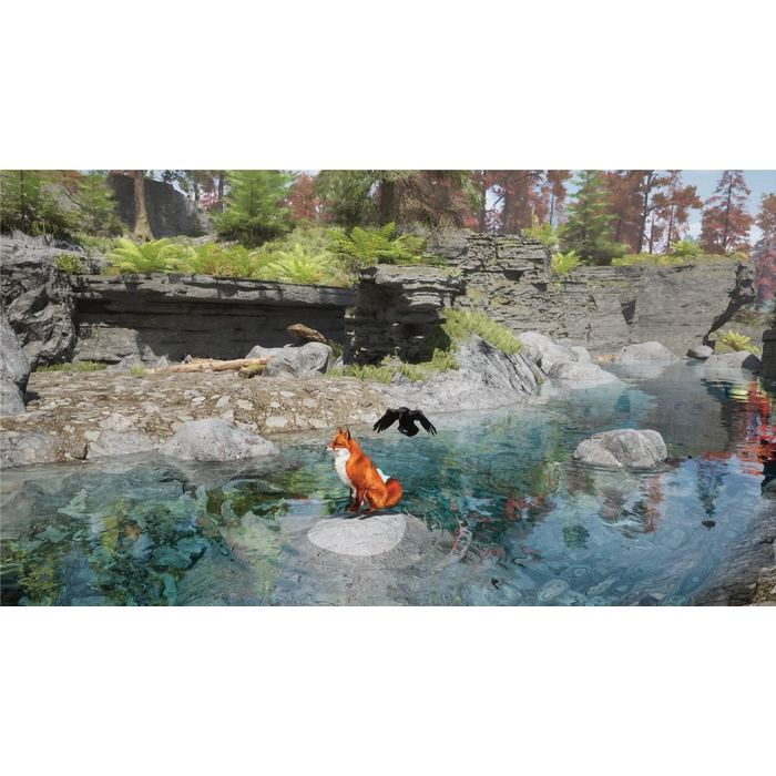 apps.12129.14611179220476006.0d2929ff-6619-4b40-a241-0fff587c8806