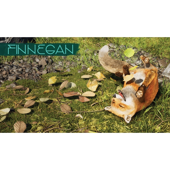 apps.36351.14611179220476006.0d2929ff-6619-4b40-a241-0fff587c8806