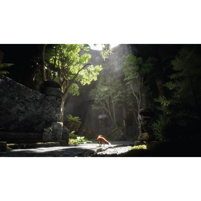 apps.58778.14611179220476006.0d2929ff-6619-4b40-a241-0fff587c8806