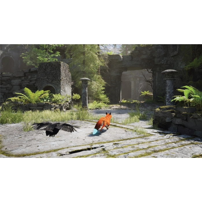 apps.18241.13809292823456960.59fa4e20-19b4-4177-bc1c-60cae70e07c1