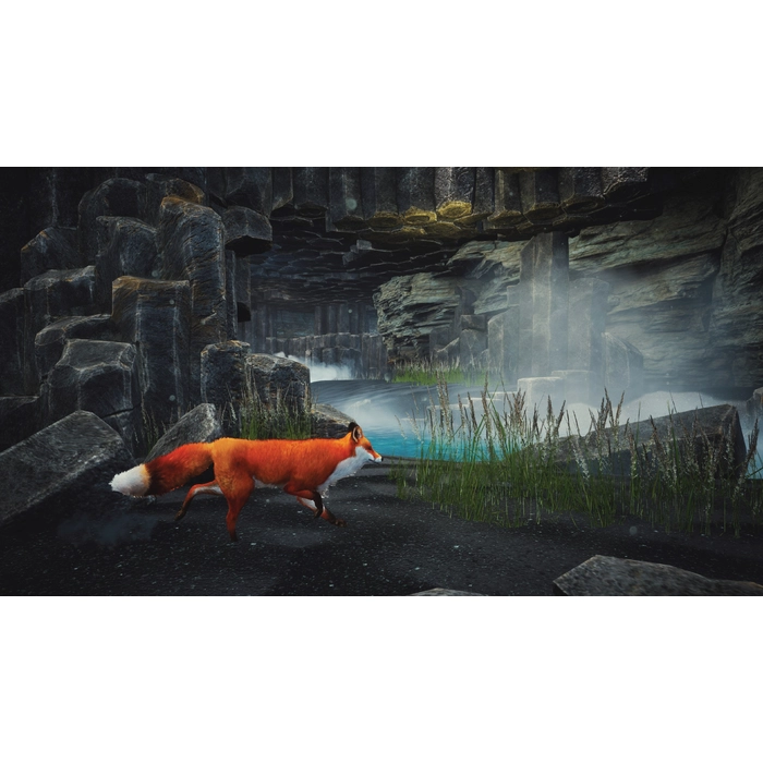 apps.30064.13809292823456960.59fa4e20-19b4-4177-bc1c-60cae70e07c1