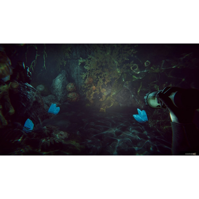 bb010a04852285b8eff3189e519a0da8812805f4a430a47f