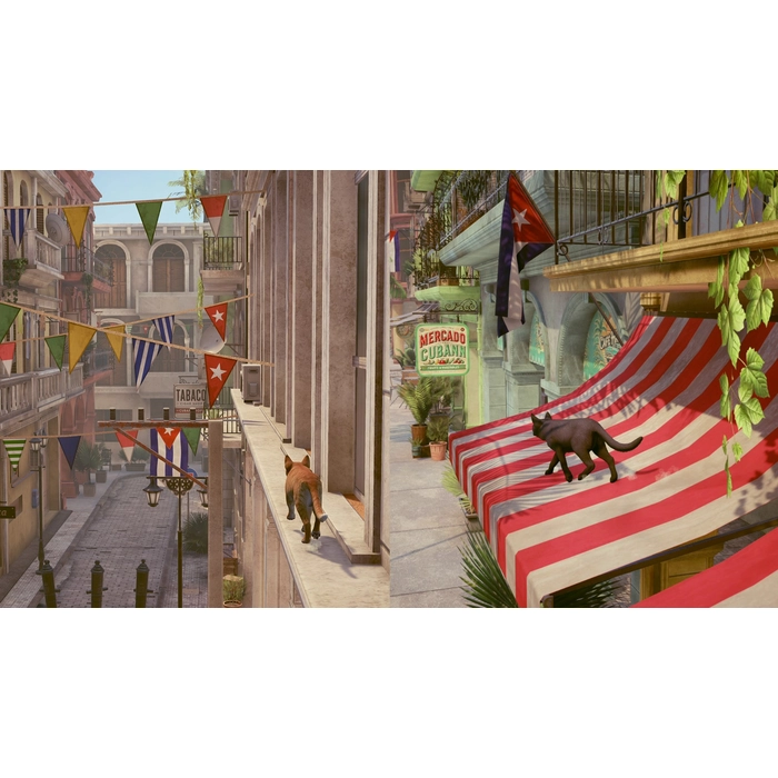 apps.8560.14612987469915280.e50e83ee-bb9e-47f1-bc8d-a7cc43bea75a