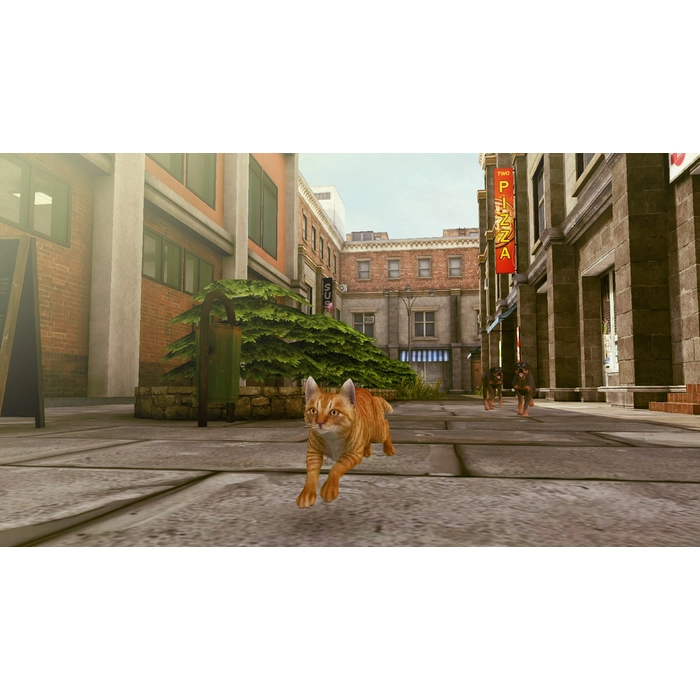 6c55d74ab43bc9ca32d871c84300e4dd6fcbee734b3d5669