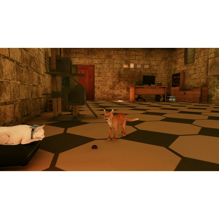 apps.25190.14215287269920306.ce898ea9-ca14-4449-90f9-f77f5613ab32