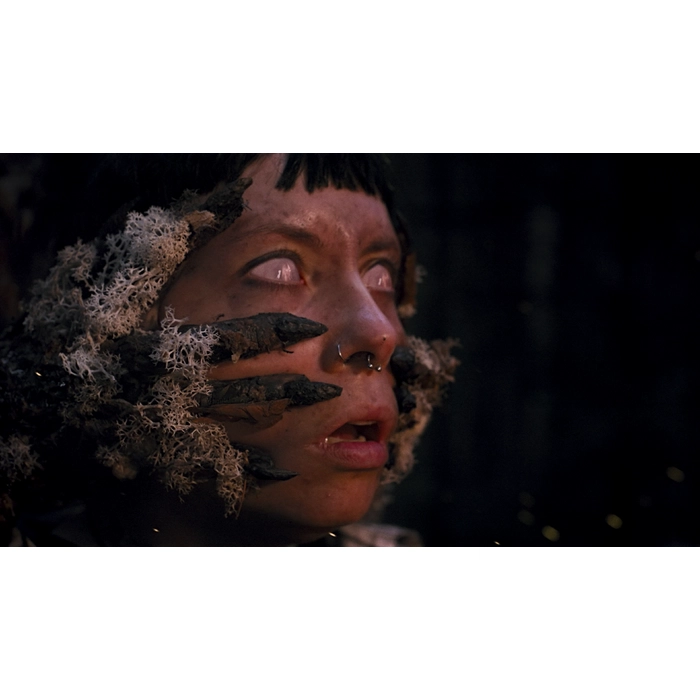 b2afc2f5f0858a36c6b5dfde26fb2d6f617ebd0a037753da