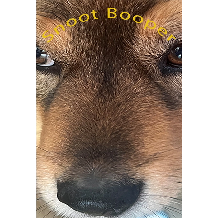 9c2e7ea8b8d406a0db94a8f92c54719a33cb4f986bd00876