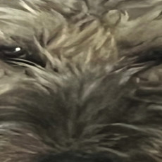 Snoot Runner PS5
